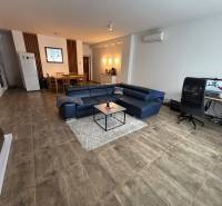 Wohnzimmer in einer Zweizimmerwohnung mit einem blauen Sofa und einem Schreibtisch.