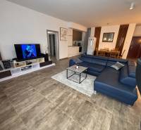 Wohnzimmer in einer Zweizimmerwohnung mit dunklem Sofa und Fernseher, Boden mit Holzdekor.