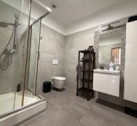 Badezimmer in einer 2-Zimmer-Wohnung mit Duschkabine, Spiegel und stilvollen Fliesen.