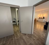 Geräumige 2-Zimmer-Wohnung mit Waschmaschine und stilvoller Beleuchtung, Boden mit Holzdekor.