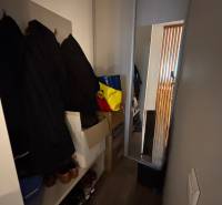 Ein enger Raum in einer 2-Zimmer-Wohnung mit Kleiderhaken, Kleiderschrank und Spiegel.