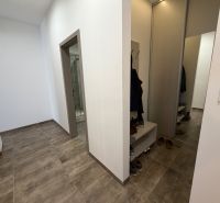 Eingangsflur in einer 2-Zimmer-Wohnung mit einfacher Möblierung und einem Schuhständer.
