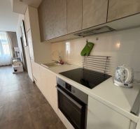 Küche mit Einbauküche, Kochfeld und Spüle in einer 2-Zimmer-Wohnung.