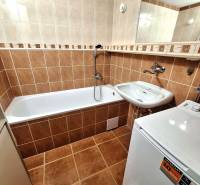 Badezimmer mit Badewanne in einer 3-Zimmer-Wohnung, braune Fliesen, Waschbecken und Waschmaschine.