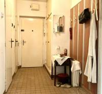 Eingangsflur in einer 3-Zimmer-Wohnung mit Wandgarderobe und Spiegel.