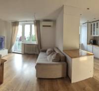 Geräumige Küche mit Wohnzimmer in einer 3-Zimmer-Wohnung. Boden mit Holzdekor, helle Möbel.