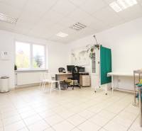 Ospravedlňujem sa, ale potrebujem vedieť, čo presne mám preložiť do nemčiny. Mohli by ste mi poskytnúť text, ktorý chcete preložiť?