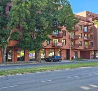 Ein Wohnhaus in der Košická-Straße in Bratislava-Ružinov, das von dichten Bäumen überschattet wird.