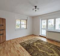 Ein Zimmer in einem Einfamilienhaus mit einem Boden in Holzoptik, einem Teppich und einem großen Fenster.