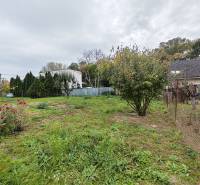 Ein Einfamilienhaus in Sereď in der Topoľová-Straße mit blühenden Rosen und Bäumen im Garten.