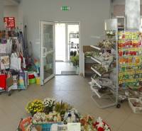 Interieur eines Blumen- und Samenladens in einem Einfamilienhaus.