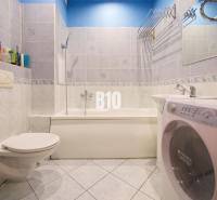 Badezimmer in einer 2-Zimmer-Wohnung mit Dusche, Waschbecken und Waschmaschine.