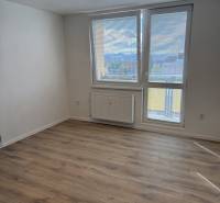 Einzimmerwohnung mit Holzboden und großem Fenster, das einen Ausblick auf die Umgebung bietet.