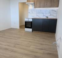 Einzimmerwohnung mit Küchenzeile, Herd und Boden in Holzoptik.