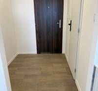 Innenraum eines Einzimmerapartments mit Eingangstür und Boden in Holzoptik.