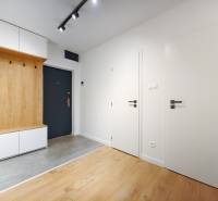 Eingangsbereich einer 2-Zimmer-Wohnung mit Holzboden und Stauraum.