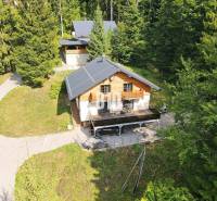 Eine Hütte in Terchová, umgeben von Wald, mit einer Sonnenterrasse und einem Zugangsweg.