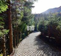 Ein Waldweg, umgeben von Bäumen in Terchová, führt zu einer Hütte in einer Berglandschaft.