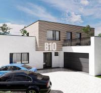 Einfamilienhaus mit einem Stockwerk, Garage und zwei Autos, umgeben von Grün.