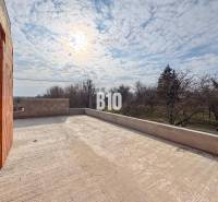 Blick von der Terrasse eines Einfamilienhauses mit Aussicht auf den Garten und die Bäume.