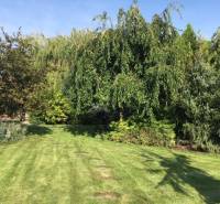 Ein Garten bei einem Einfamilienhaus in Čierna Voda, gesäumt von Bäumen und gepflegtem Rasen.