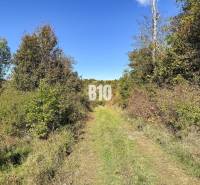 Eine Hütte in Lackov, umgeben von Natur und einem grünen Weg, der zum Wald führt.