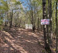 Privatweg in Lackov mit einem Schild, das den Zutritt zu Privatgrundstücken verbietet.