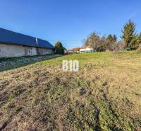 Rasenfläche bei einem Einfamilienhaus, ideal für Grundstücke und Wohnen in der Natur.