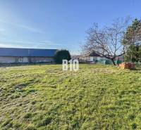 Ein Grundstück mit Rasen, einem Baum und einem Wohngebäude im Hintergrund.