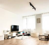 Wohnzimmer in einer 2-Zimmer-Wohnung mit Fernseher, Spielzeug und Boden in Holzoptik.