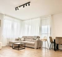 Wohnzimmer in einer 2-Zimmer-Wohnung mit Sofa und Holzboden.