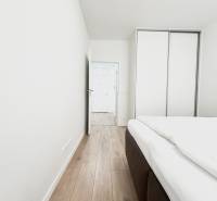 Ein Zimmer in einer 2-Zimmer-Wohnung mit einem Boden in Holzoptik und einem Einbauschrank.