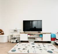 Wohnzimmer in einer 2-Zimmer-Wohnung mit Spielzeug, Fernseher und Boden in Holzoptik.