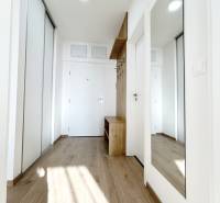 Eingangsbereich mit Spiegel und Holzboden in einer 2-Zimmer-Wohnung.