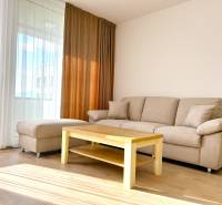 Wohnzimmer in einer 2-Zimmer-Wohnung mit Sofa, Tisch und Boden in Holzoptik.