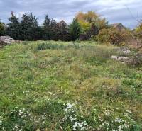 Grünfläche auf einem Wohngrundstück in Tvrdošovce, mit Häusern und Bäumen im Hintergrund.