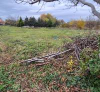 Grundstück in Tvrdošovce geeignet zum Wohnen, umgeben von Bäumen und Grünflächen.