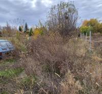 Grundstück zum Wohnen in Tvrdošovce mit einem verlassenen Auto und überwuchertem Gelände.