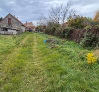 Ein Garten mit Rasen und älteren Gebäuden in Tvrdošovce, geeignet für Baugrundstücke - Wohnen.