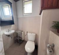 Badezimmer in einem Einfamilienhaus mit WC, Waschbecken, Duschvorhang und Fenster, verziert mit einer Pflanze.