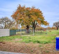 Der Garten des Einfamilienhauses in der Orechová-Straße in Jaslovské Bohunice mit einem Herbstbaum und einem Zaun.
