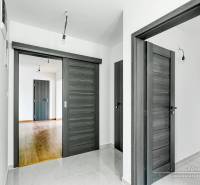 Innenraum eines Einfamilienhauses mit dunklen Türen und einem Boden in Holzoptik.