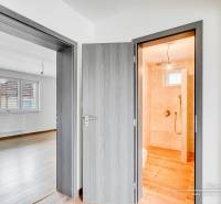 Innenraum eines Einfamilienhauses mit Türen, Badezimmer und Boden in Holzoptik.