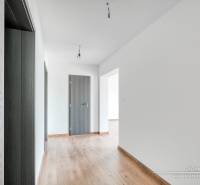 Der Flur in einem Einfamilienhaus mit einem Boden in Holzoptik und Türen in Anthrazitfarbe.