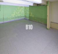 Geschäftsräume mit Betonboden und grünen Wänden.