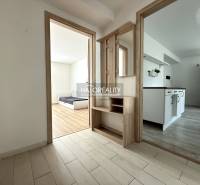 Innenraum einer 3-Zimmer-Wohnung mit Küchenzeile und Blick ins Wohnzimmer.