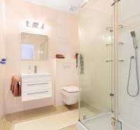 Ein Badezimmer in einem Einfamilienhaus mit Waschbecken, Duschkabine und Toilette.