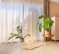 In einem Einfamilienhaus gibt es ein Zimmer mit einem Holzboden, Blumen und einem Schrank.