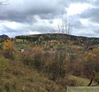 Herbst in den Gärten in Hlboké nad Váhom, bunte Bäume unter einem wolkigen Himmel.
