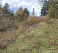 Herbstlandschaft in den Gärten von Hlboké nad Váhom mit Gras, Bäumen und Stromleitungen.